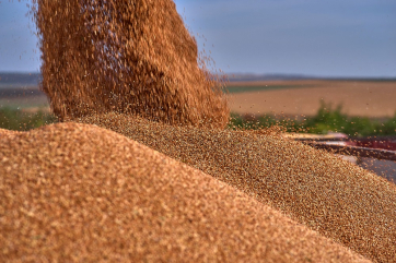 Президент Казахстана отказался от экспортных пошлин на зерно